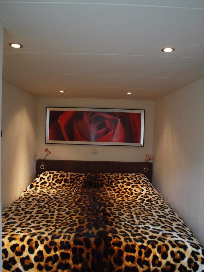 Zomerhuis De Zeedistel Egmond aan den Hoef Extérieur photo